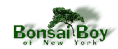 Bonsai Boy of New York